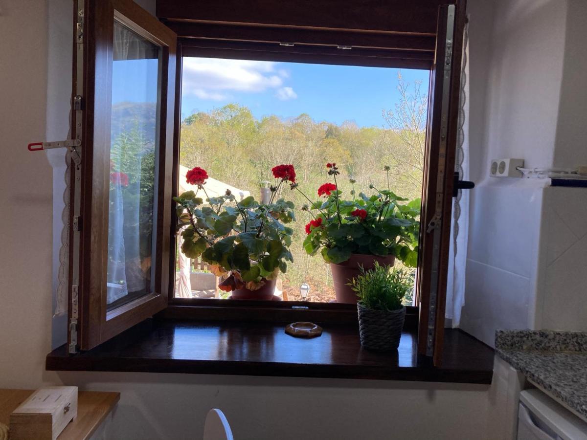 Casa Elena Cangas De Onis Con Wifi Y Parking Gratuito ภายนอก รูปภาพ