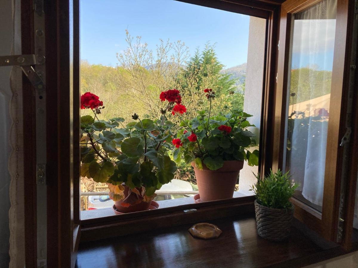 Casa Elena Cangas De Onis Con Wifi Y Parking Gratuito ภายนอก รูปภาพ