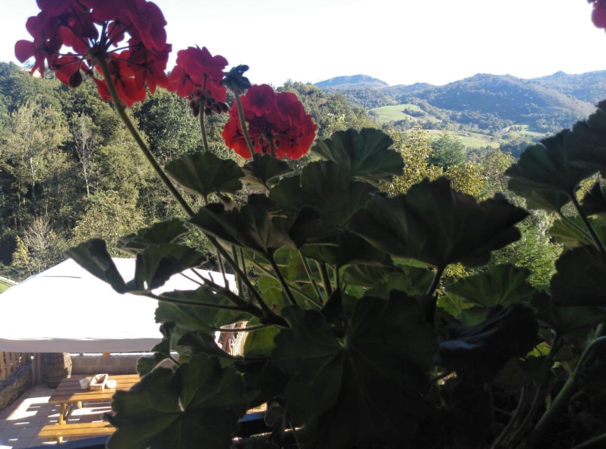 Casa Elena Cangas De Onis Con Wifi Y Parking Gratuito ภายนอก รูปภาพ